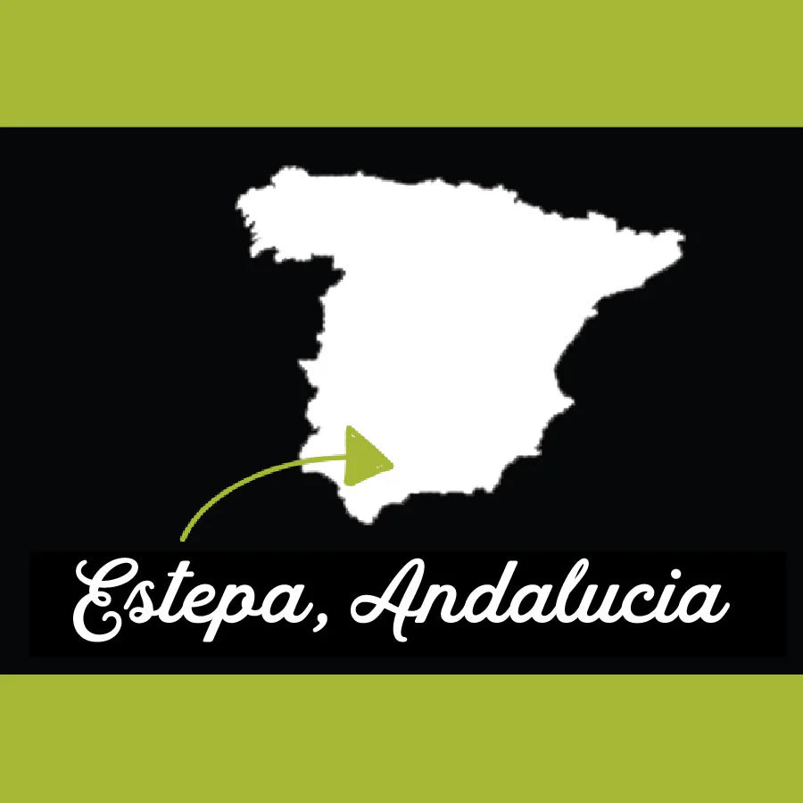 ANDALUSIAN SPANISH SINGLE ESTATE OLIVE OIL