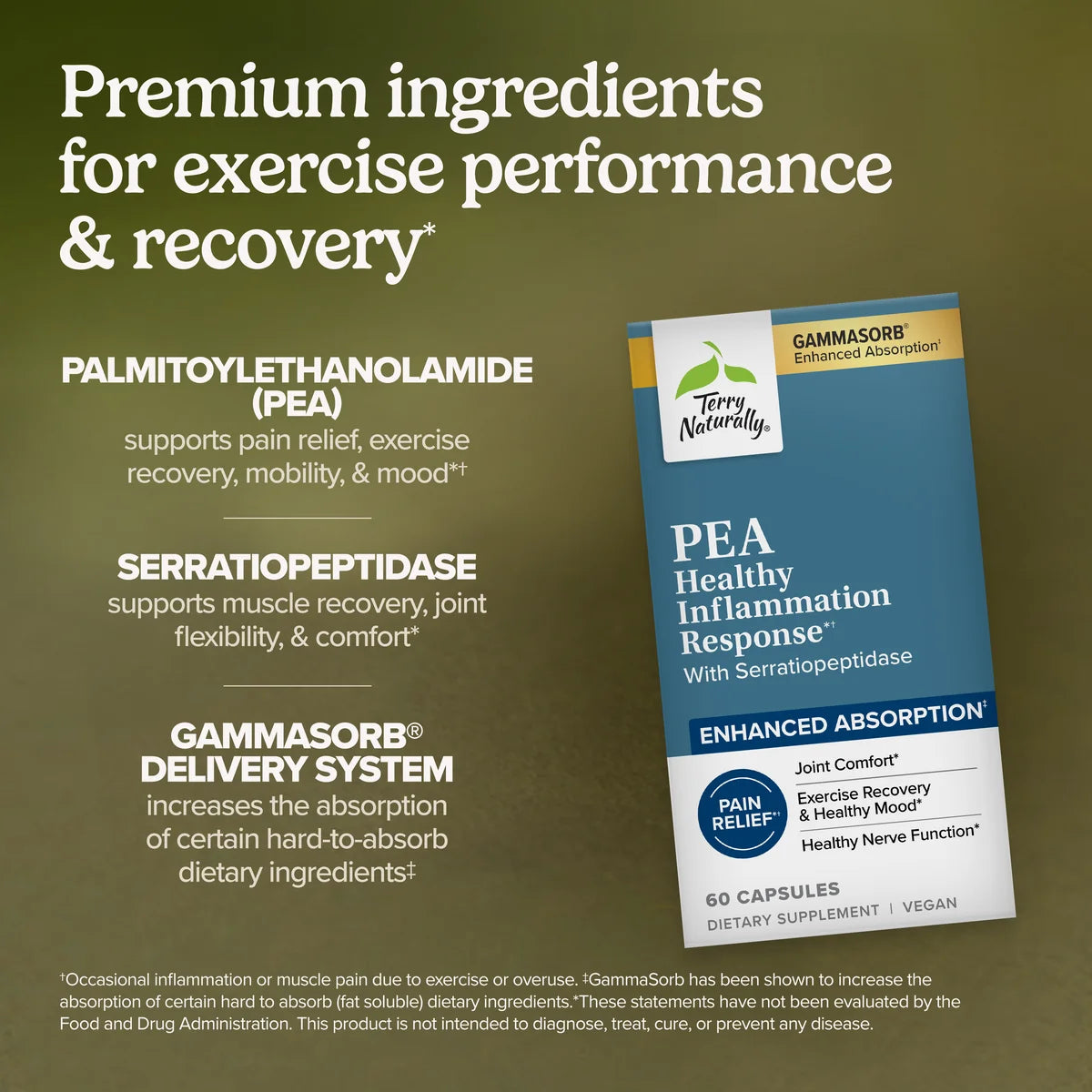 PEA Healthy Inflammation Response (60)