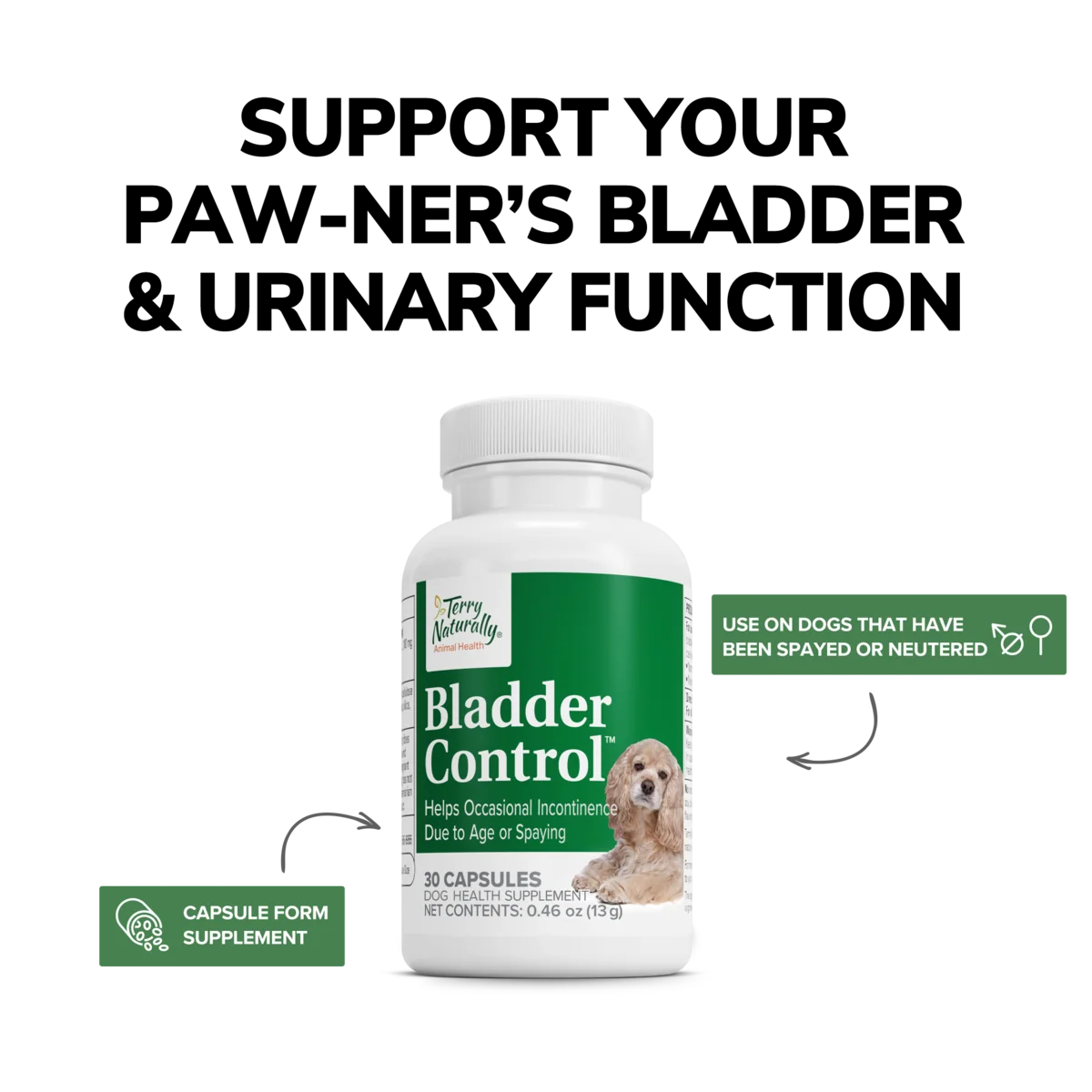 Bladder Control