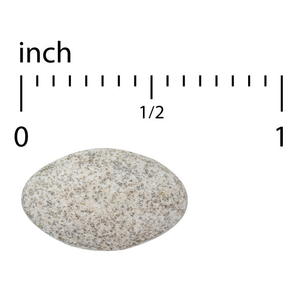 Vectomega Tablet (60)