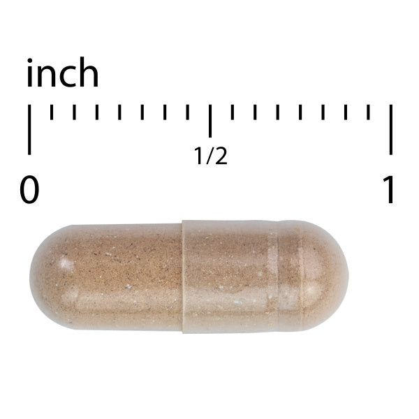 Adaptra (60)
