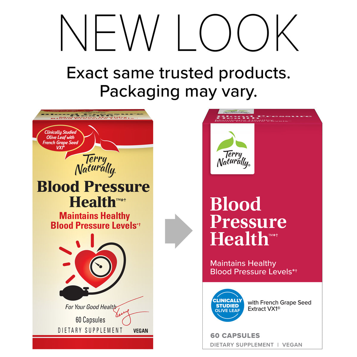 Blood Pressure Health (60)