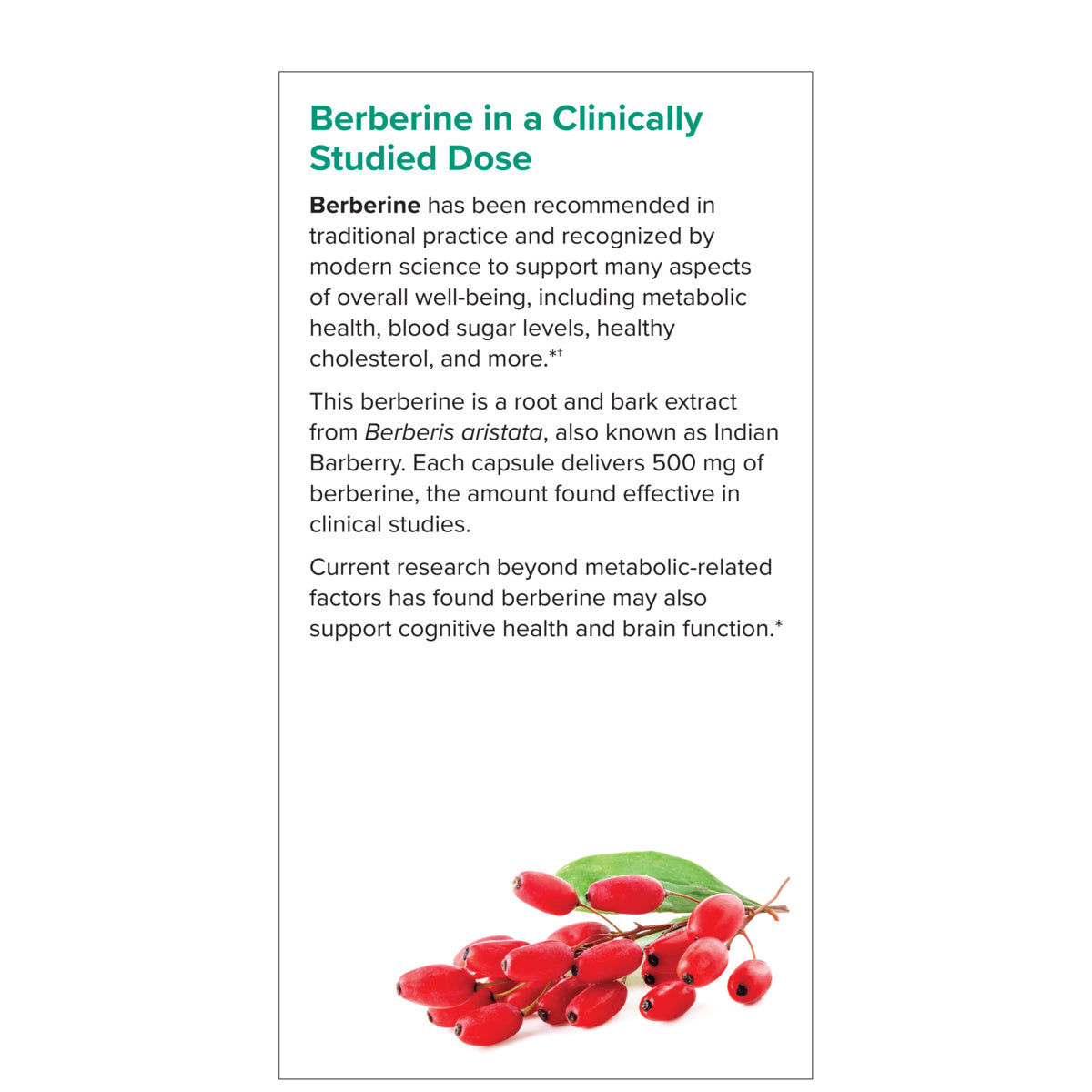 Berberine (60)