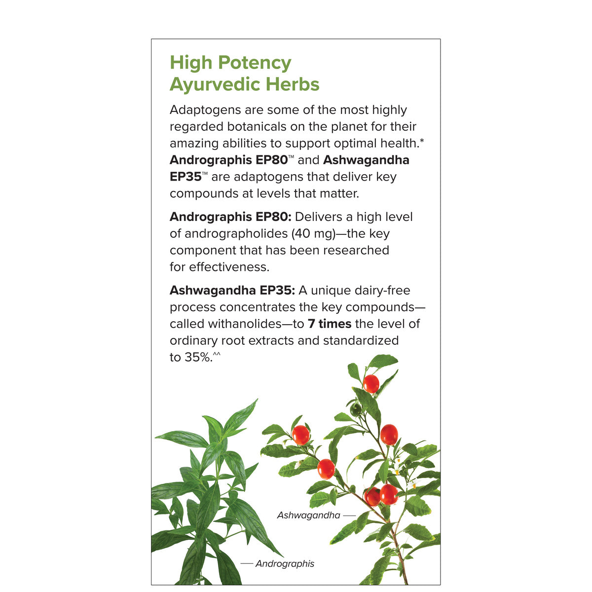 ANDROGRAPHIS AND ASHWAGANDHA(60)