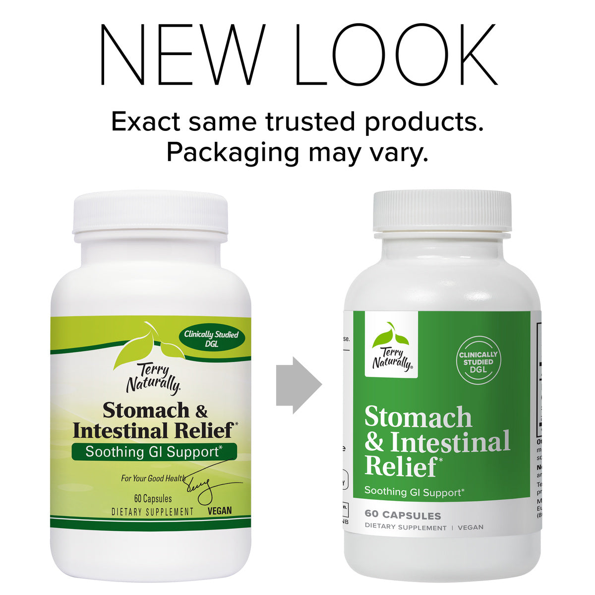 Stomach & Intestinal Relief (60)