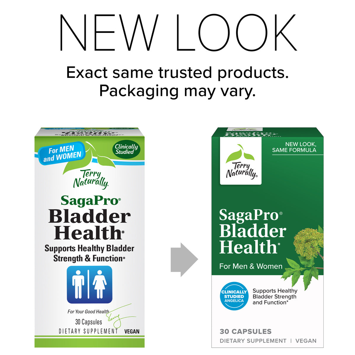 SagaPro Bladder Health