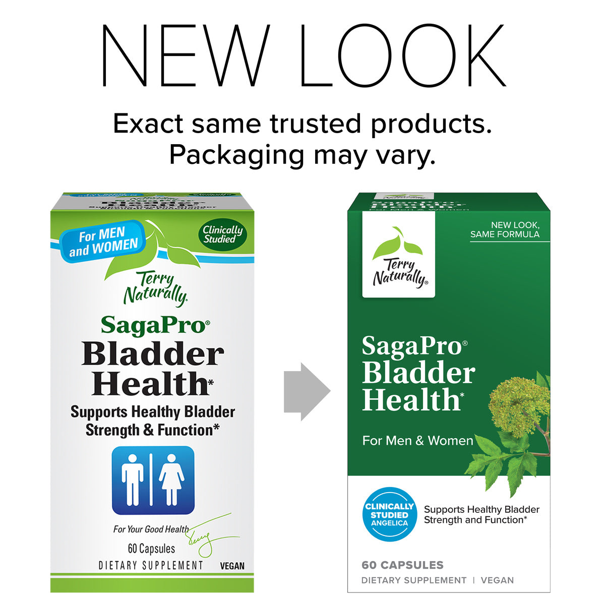 SagaPro Bladder Health