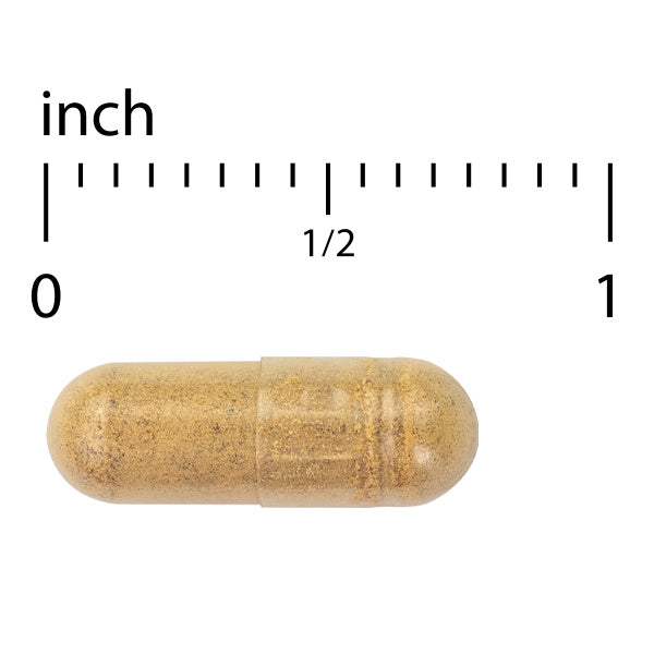 Stomach & Intestinal Relief (60)