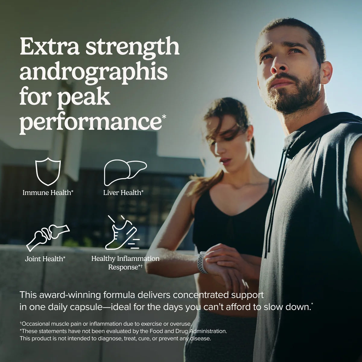 Andrographis EP80 Extra Strength (60)