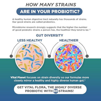Vital Flora Immune Biome Probiotic - Shelf Stable