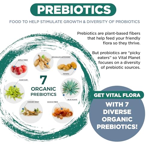 Vital Flora Men 55+ Probiotic - Shelf Stable