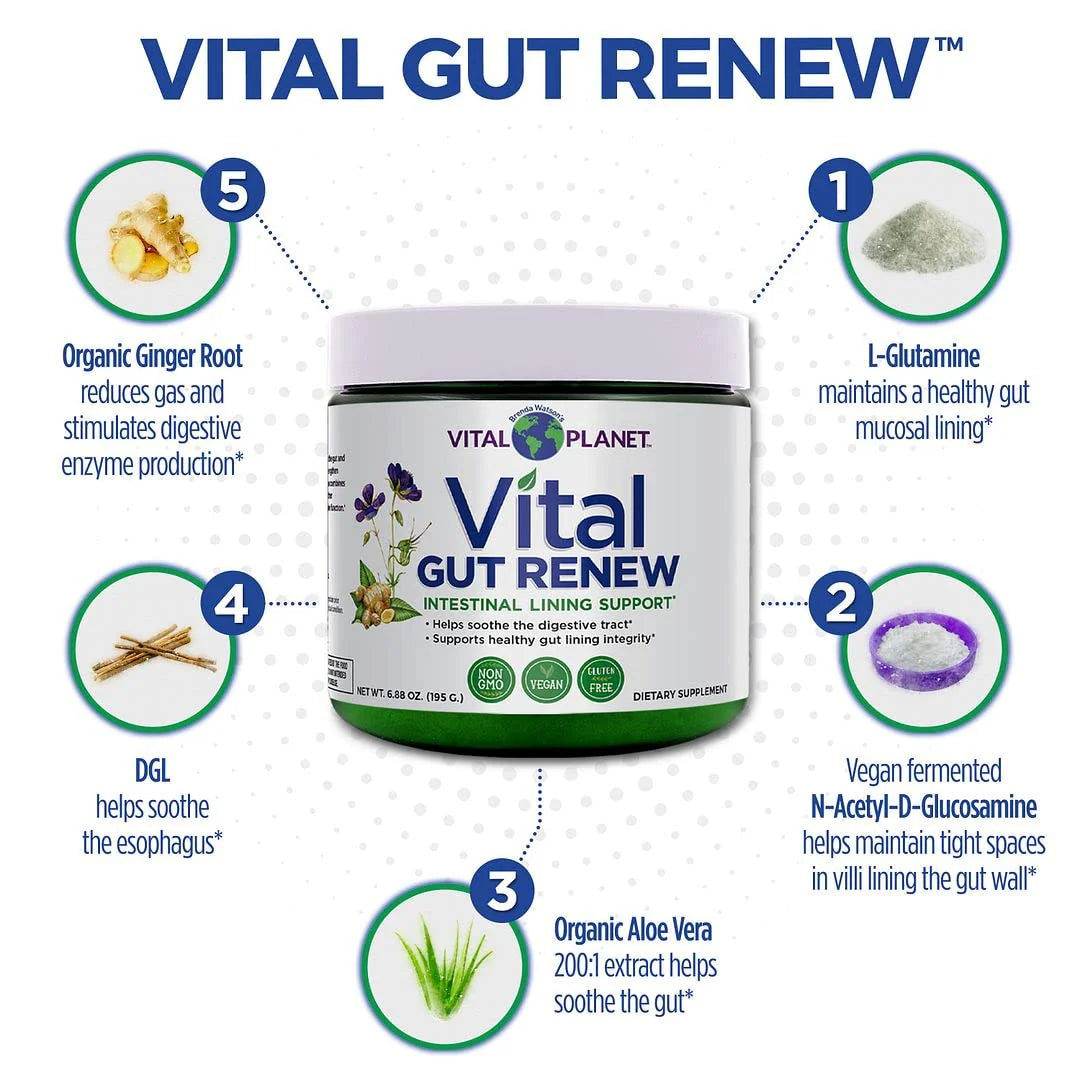 Vital GUT RENEW™ - Leaky Gut Repair - Powder