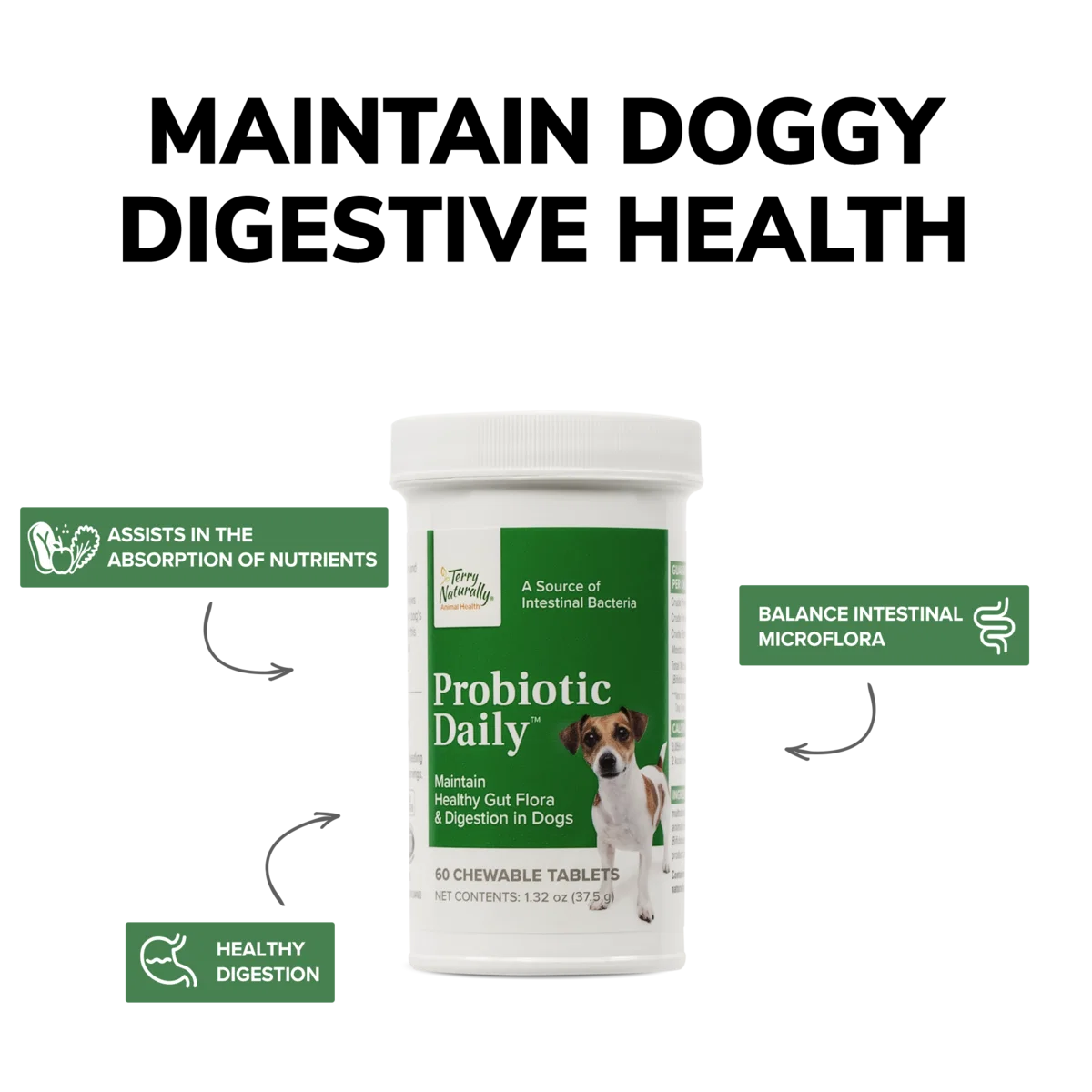 Probiotic Daily