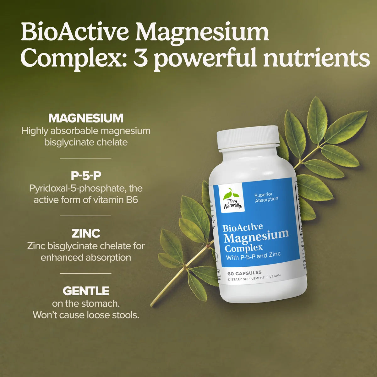 BioActive Magnesium Complex