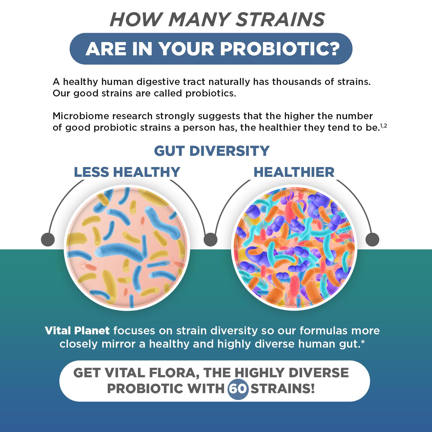 Vital Flora Ultra Daily Probiotic - Shelf Stable