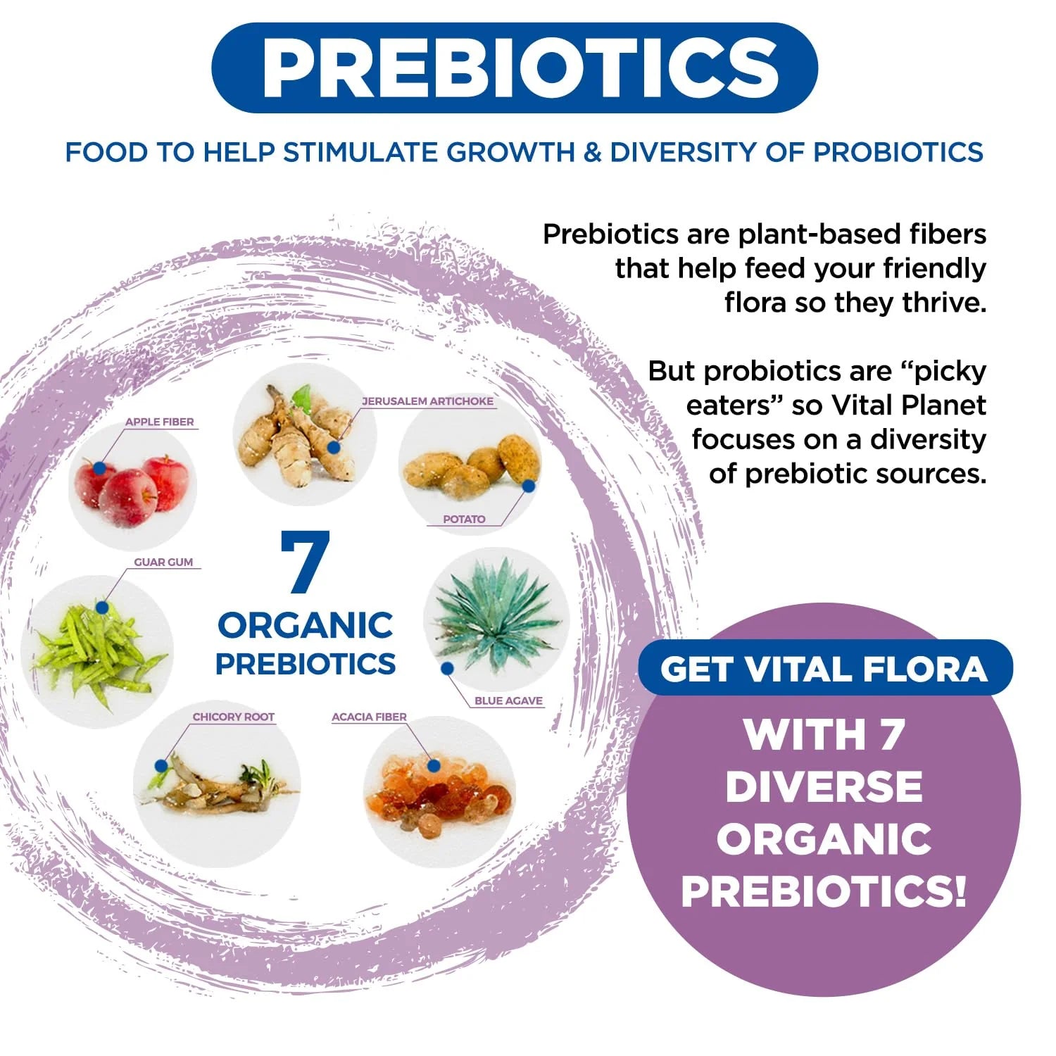Vital Flora Women’s Daily Probiotic - Shelf Stable