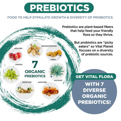 Vital Flora Ultra Daily Probiotic - Shelf Stable