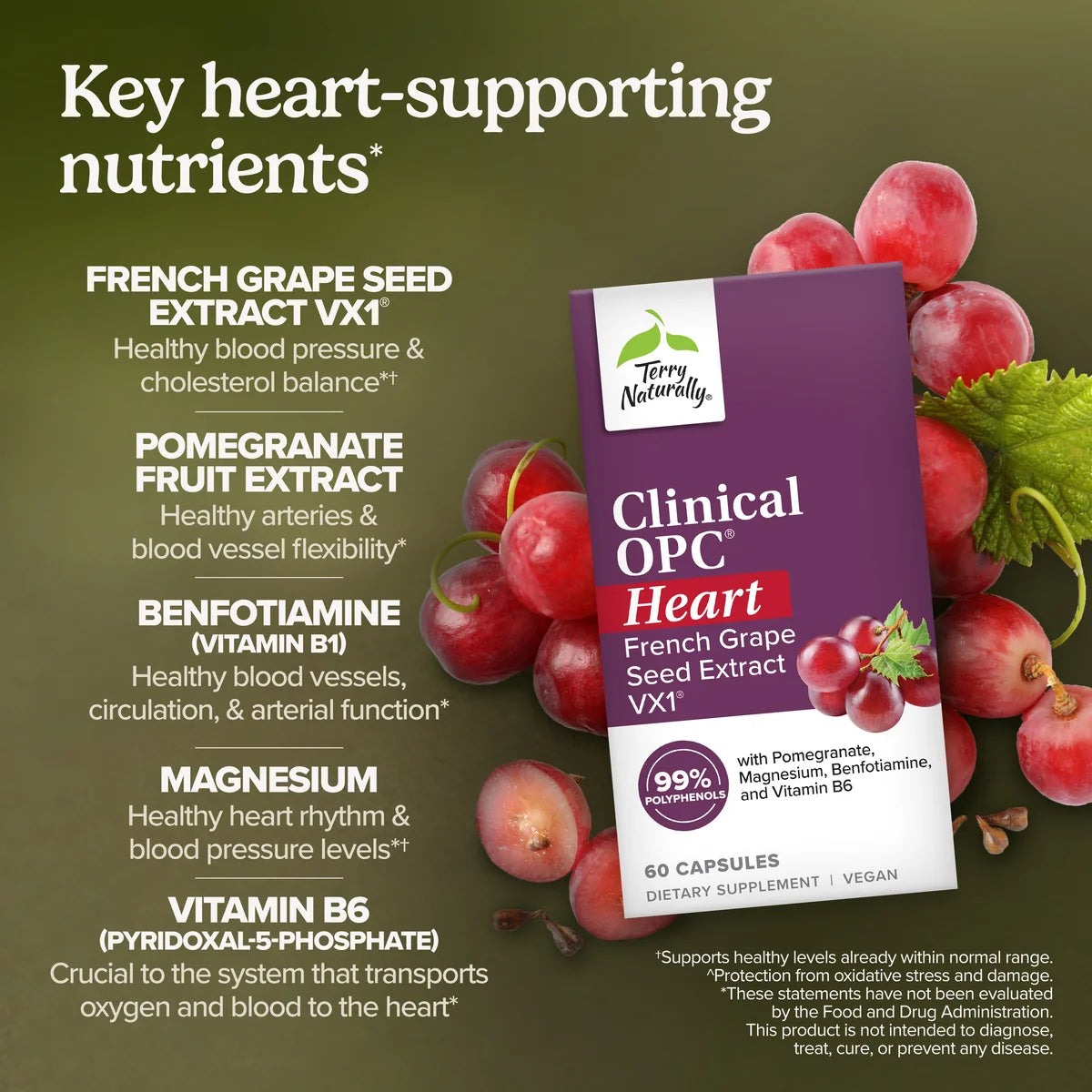 Clinical OPC Heart (60)