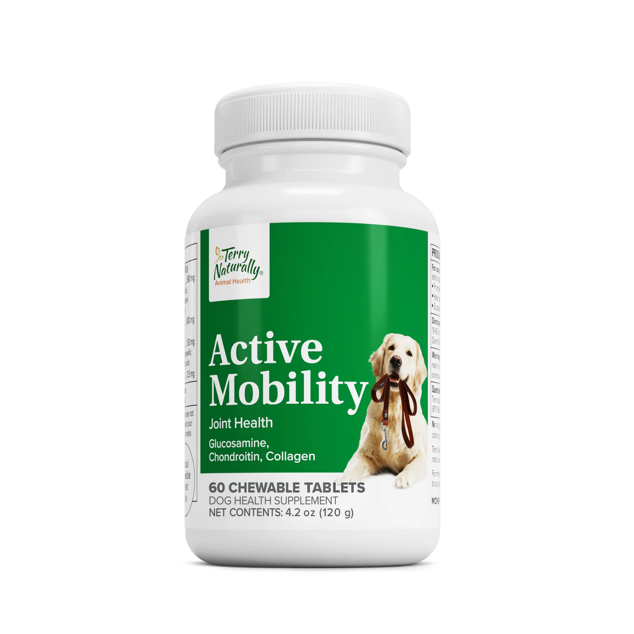 Active Mobility