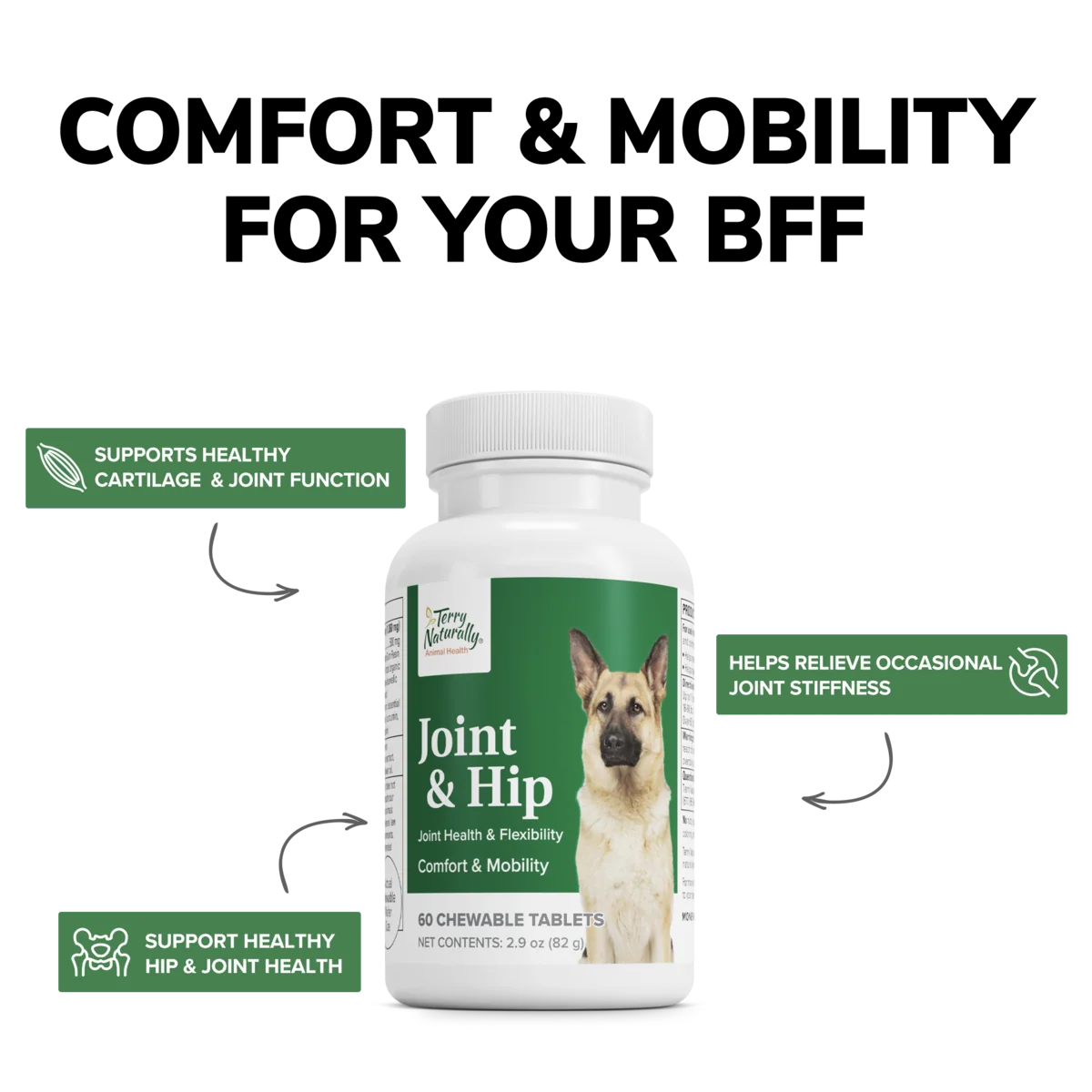 Joint & Hip