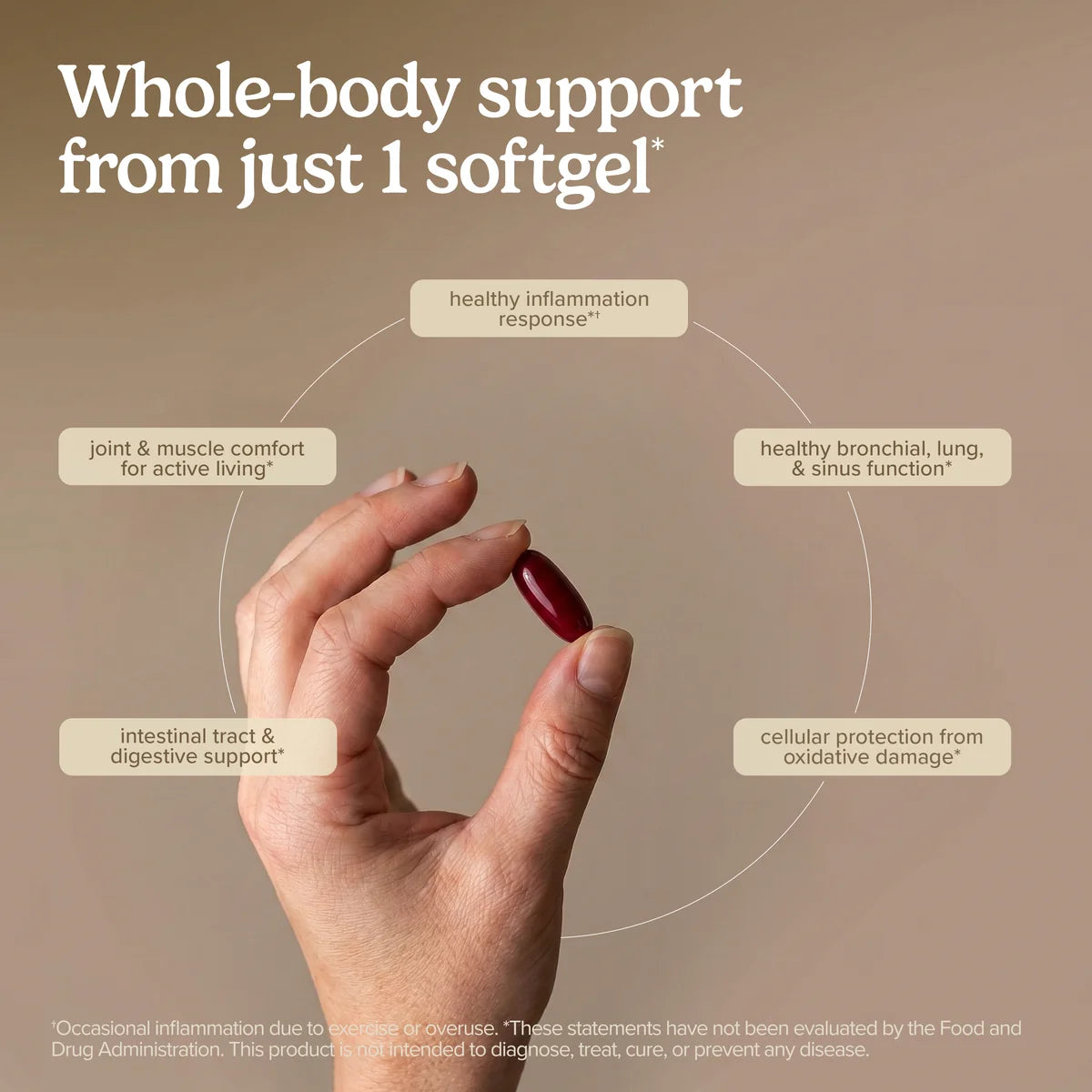BosMed 500mg Extra Strength (60)