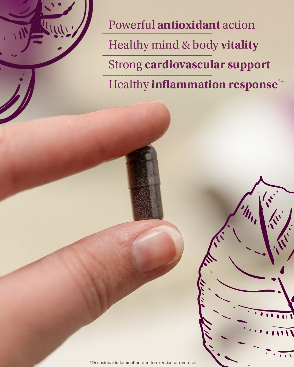 Aronia Berry 300