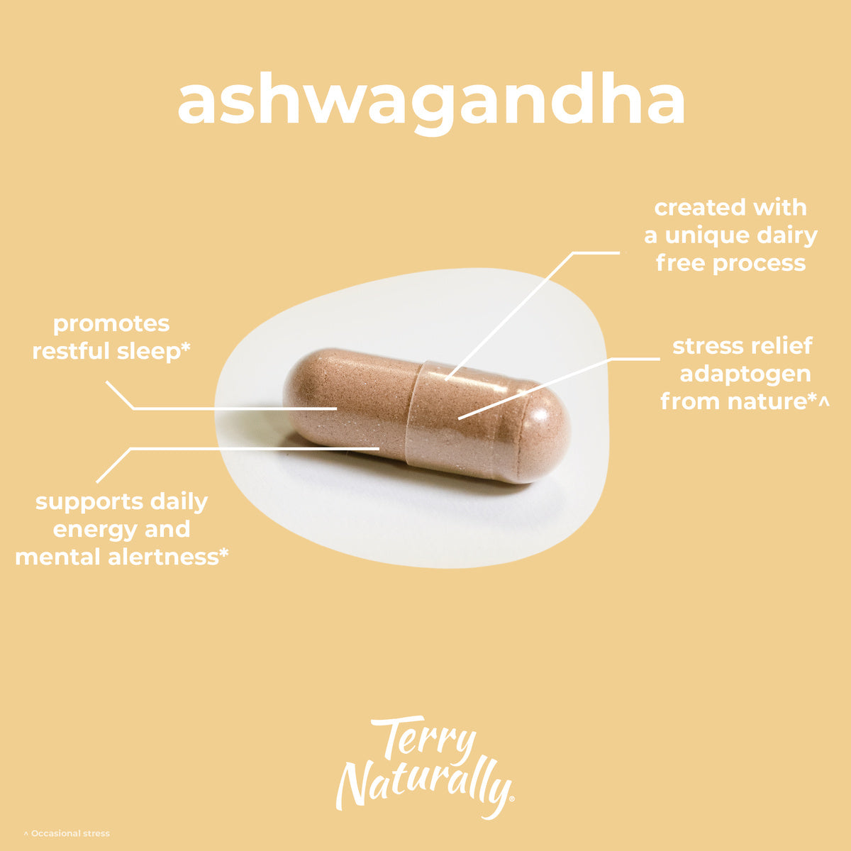 Ashwagandha EP35 Extra Strength (60)