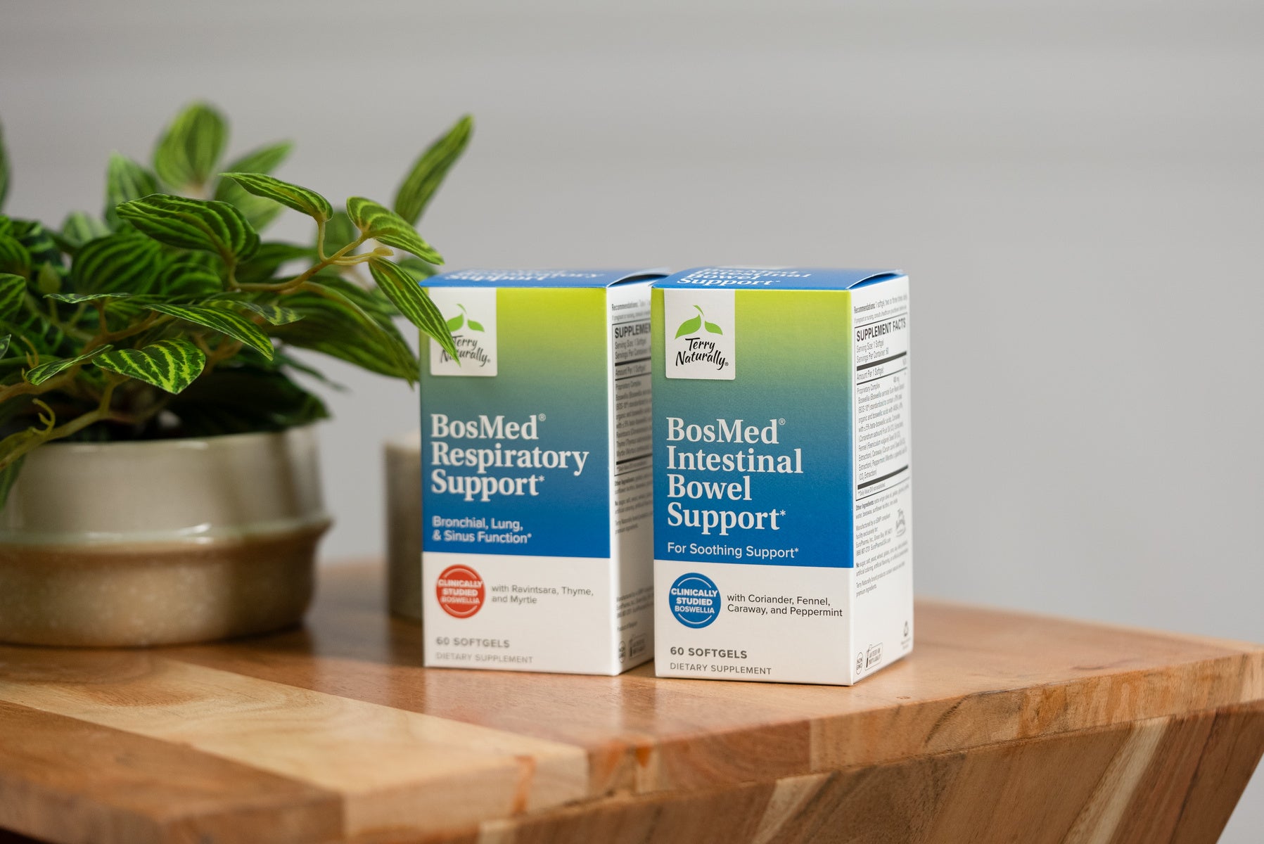 BosMed Intestinal Bowel Support (60)