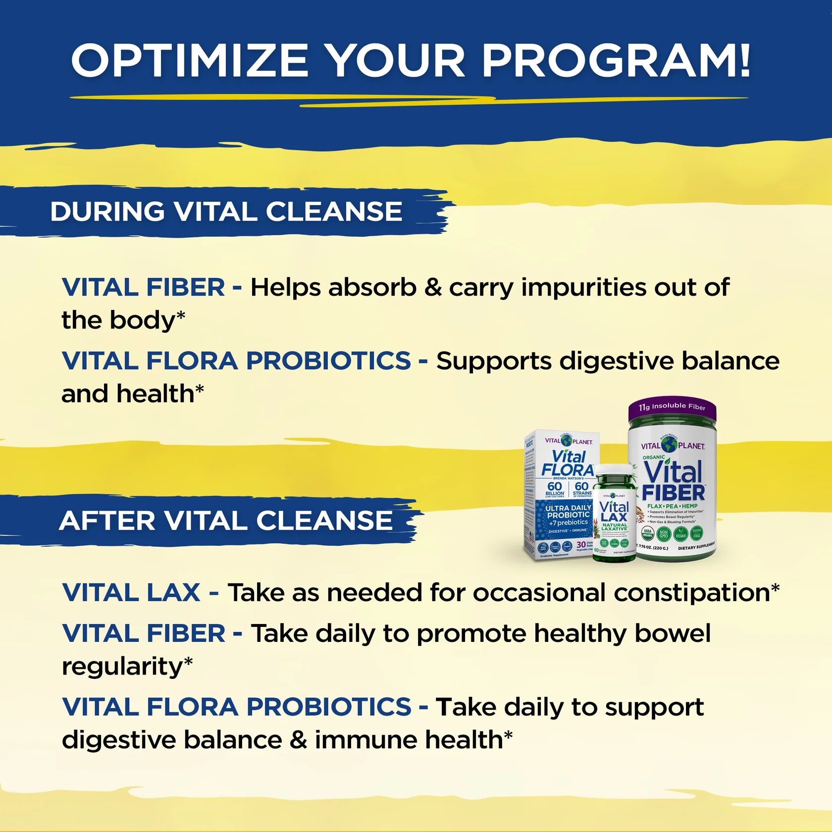 Vital Cleanse - Whole Body Rejuvenation Program