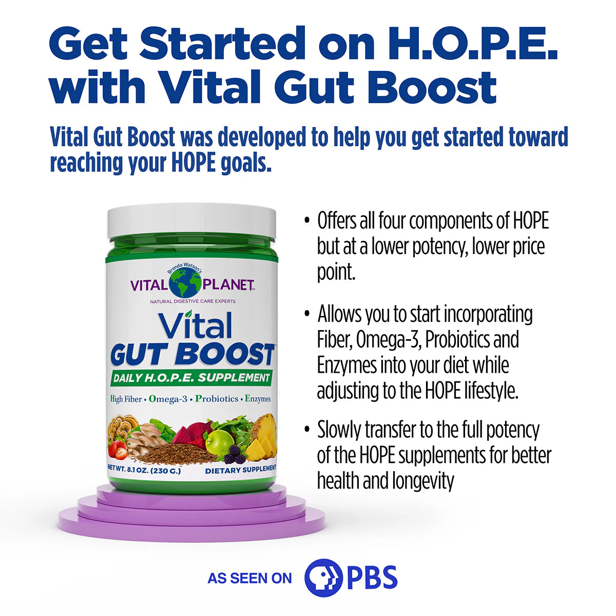 Vital Gut Boost- Brenda Watson’s H.O.P.E. Formula, 8.1oz