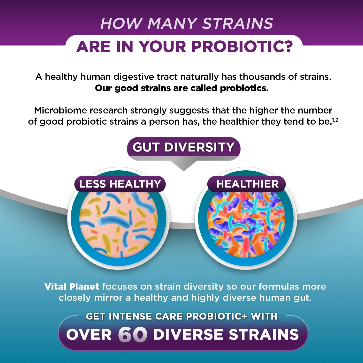 Intense Care Respiratory + Immune Probiotic