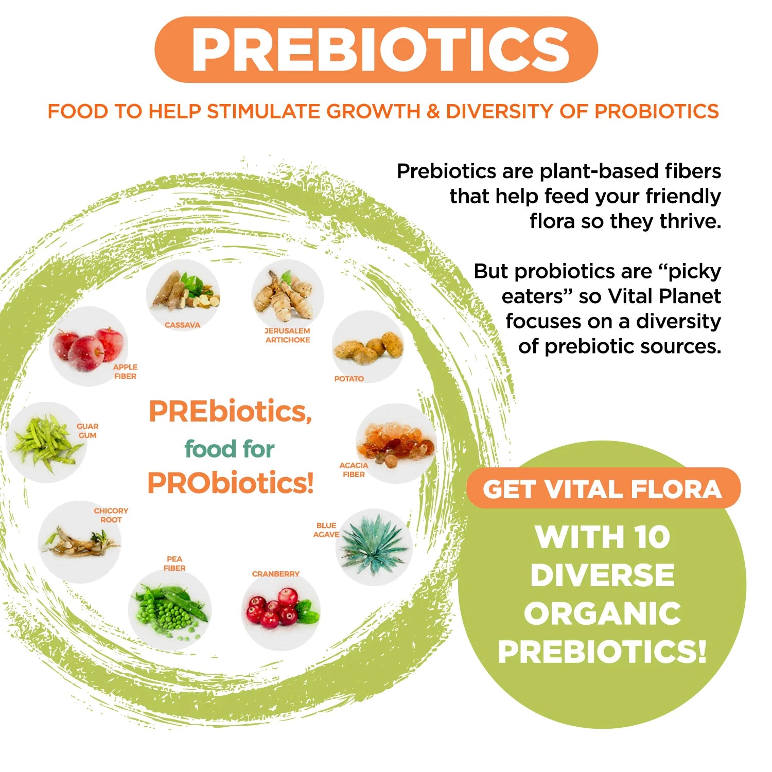 Vital Flora Advanced Biome Probiotic - 30ct