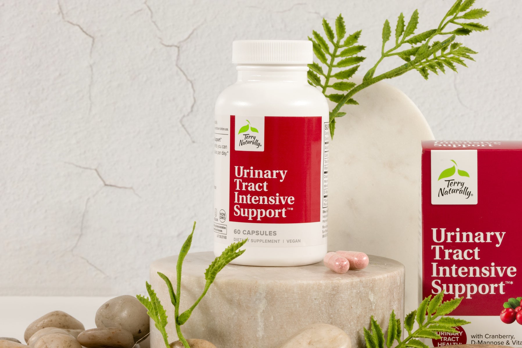 Urinary Tract Intensive Support (60)