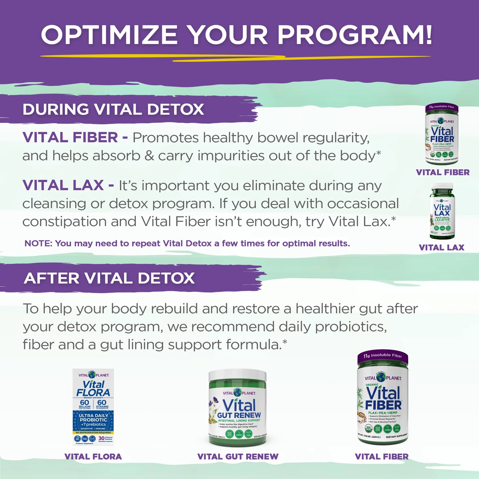Vital Detox - For Occasional Gas and Bloating