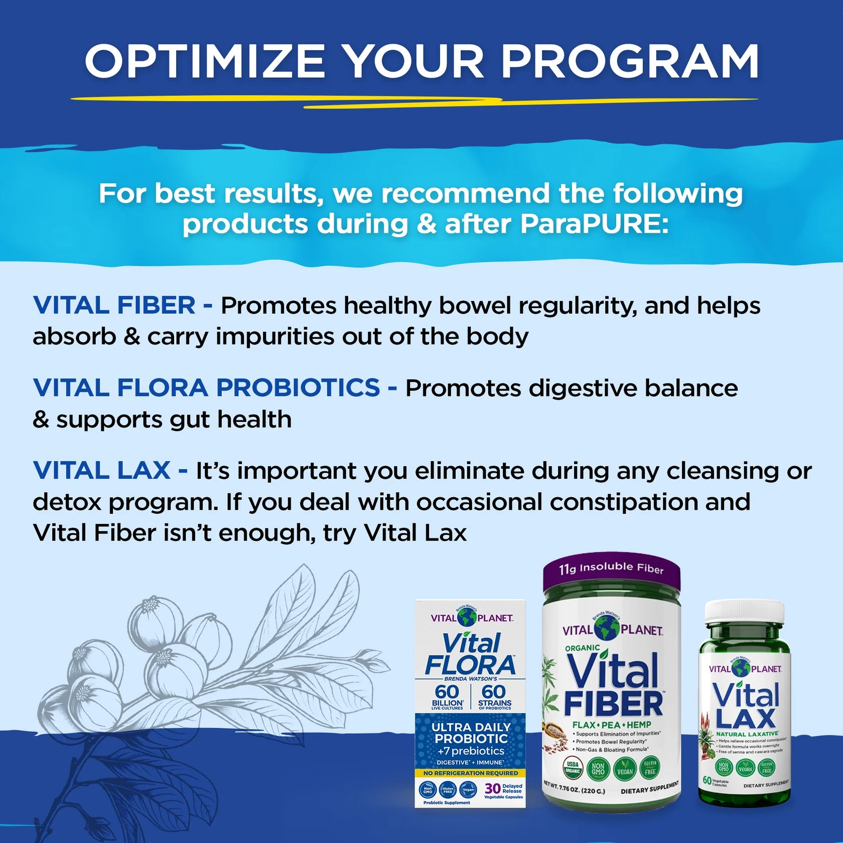 Vital ParaPure 14-day, 2 part kit