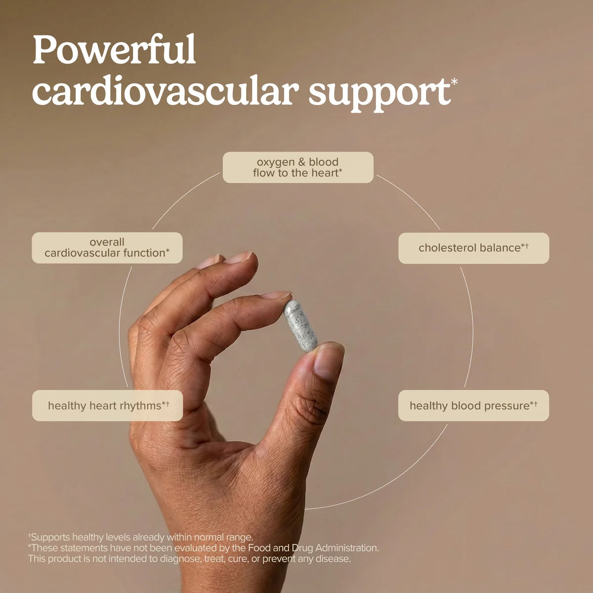 Clinical OPC Heart (60)