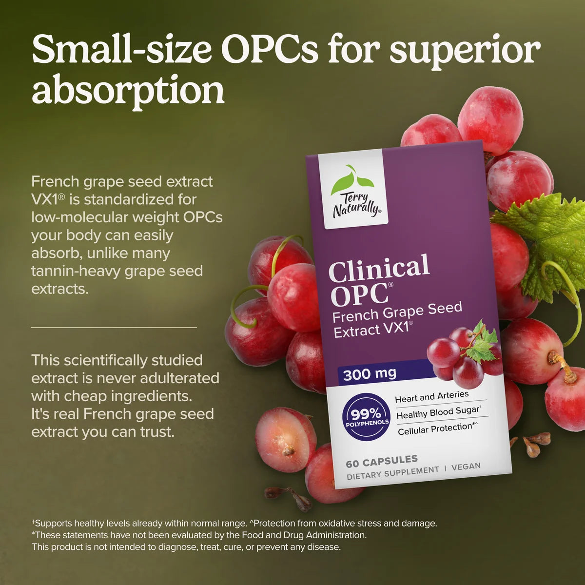 Clinical OPC 300mg (60)