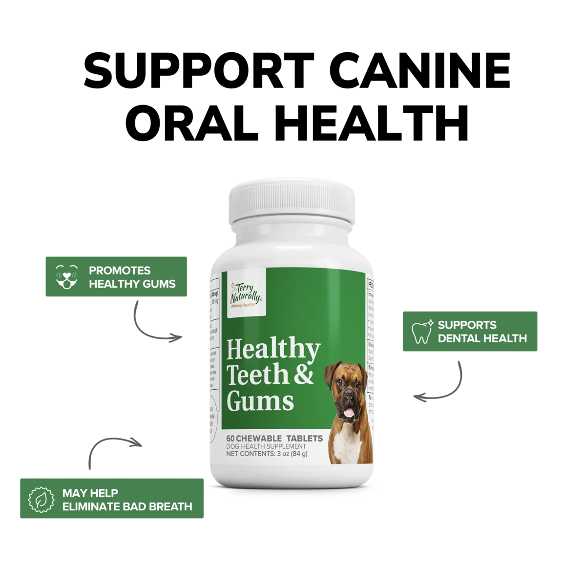 Healthy Teeth & Gums