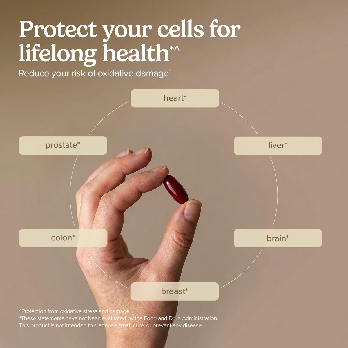 CuraMed Plus Clinical OPC (60)