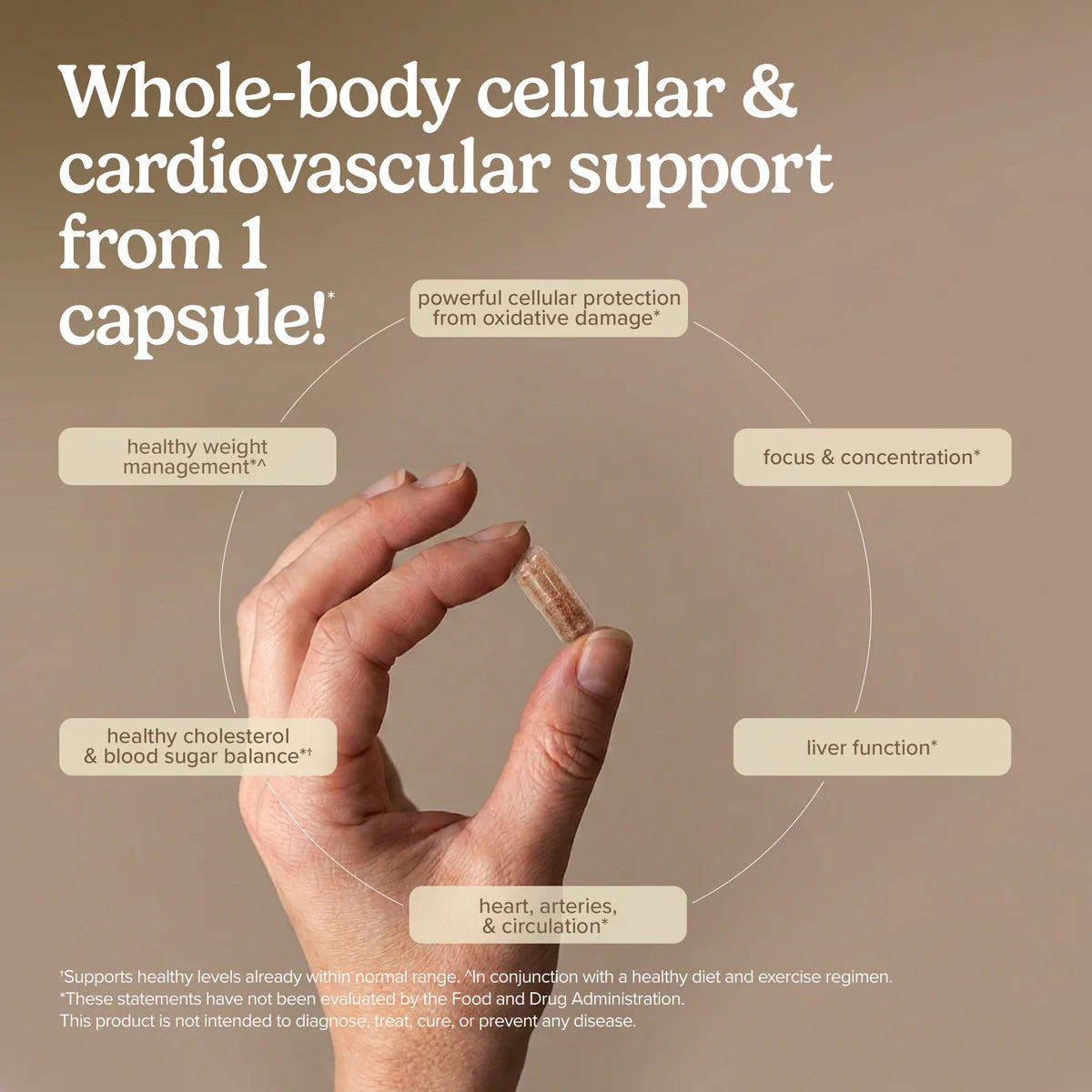 Clinical OPC 300mg (60)